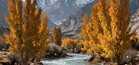 Trekking Karakoram: Navigating the Autumn Passages of Hunza and Skardu